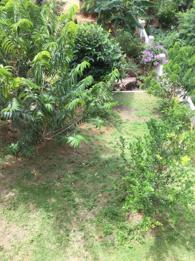 Bougainvillas Seychelles アンス・ロワイヤル エクステリア 写真