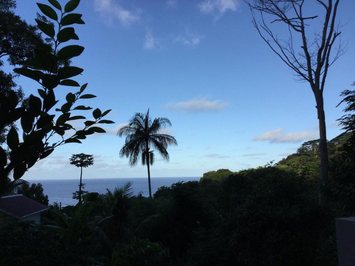 Bougainvillas Seychelles アンス・ロワイヤル エクステリア 写真
