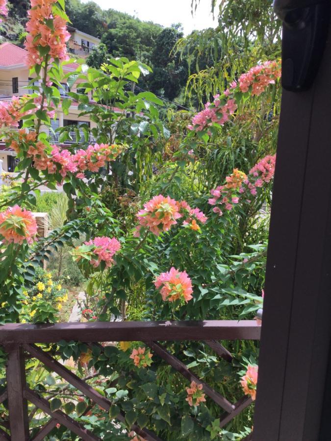 Bougainvillas Seychelles アンス・ロワイヤル エクステリア 写真