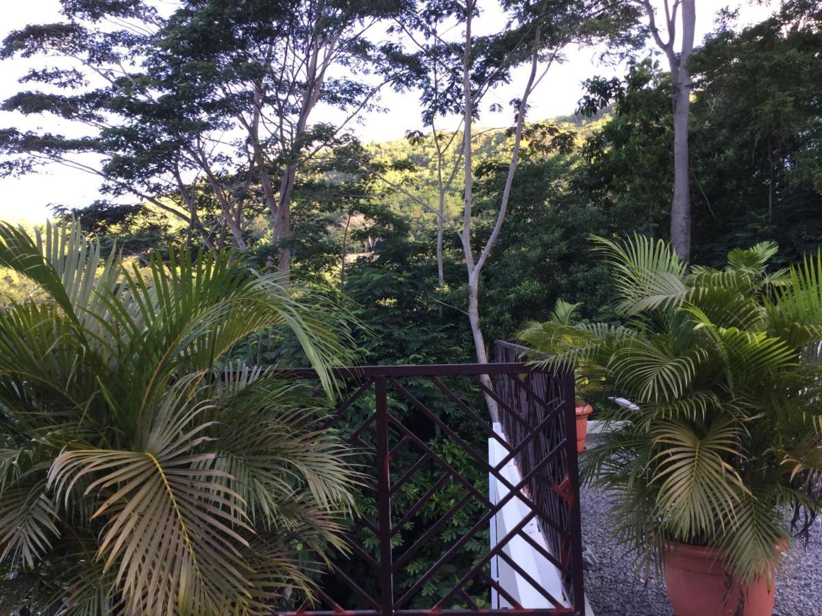 Bougainvillas Seychelles アンス・ロワイヤル エクステリア 写真
