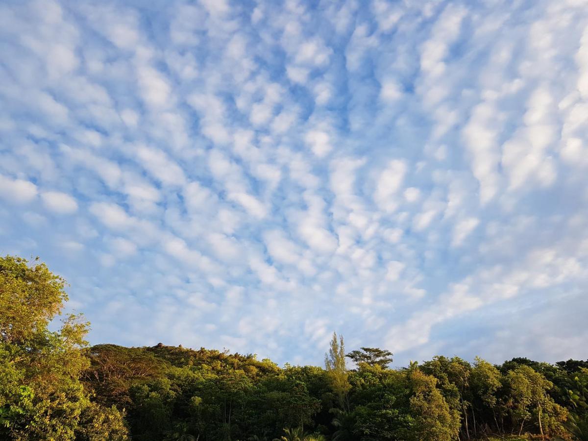Bougainvillas Seychelles アンス・ロワイヤル エクステリア 写真